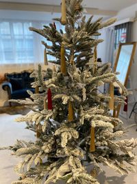 大型クリスマスツリー（約2m）の設置を行っております。（11月〜1月末まで） - Photo Studio BP 中野新橋の室内の写真