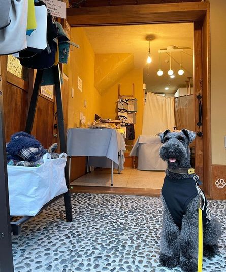 レンタルスペース、レンタルサロン - 貸スペース谷中にゃんとも