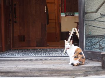 猫好きの聖地・谷中へようこそ - 貸スペース谷中にゃんとも レンタルスペース、レンタルサロンの入口の写真