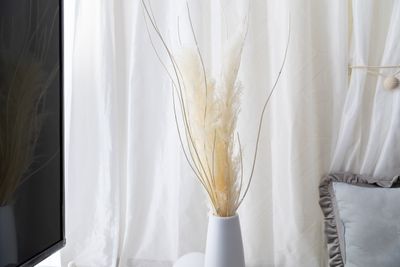 💖マイルーム💖 💖Lucca（ルッカ）💖の室内の写真