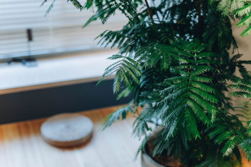 六本木駅徒歩1分★作業の合間に整体が受けられる★ドロップイン利用 - Kant. WORK LOUNGE