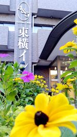 東横INN東西線西葛西 エコノミーダブルの入口の写真