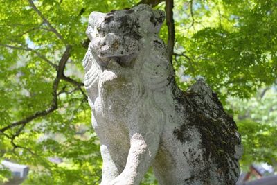 東横INN京都四条大宮 シングルのその他の写真