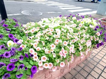 東横INN品川駅高輪口 シングルの入口の写真