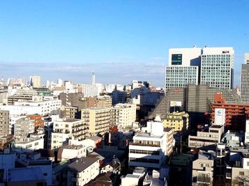 東横INN品川青物横丁駅 シングルのその他の写真