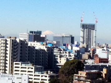 東横INN品川青物横丁駅 シングルのその他の写真