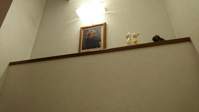 ダンススクール/メインスタジオ - ヒラソル銀座ダンススクール