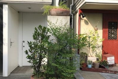 右隣は高級焼肉店「焼肉かねこ」さんです。 - 「サロット代官山」代官山T-SITE至近のRCデザイナーズハウス 〈サロット代官山〉自然光の入る地下1階・広いレンタルスペースの入口の写真