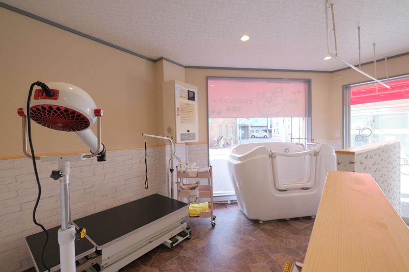 トリマー向け小～中型犬用ドッグバス,トリミング台,ドライヤー完備 - Bubbly SPA わん