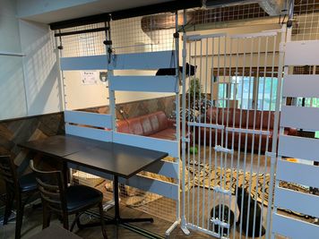 入り口から社猫ちゃんのお出迎えがあります。 - 黒猫OFFICE 保護猫HOUSE ～黒猫Cafe～の入口の写真