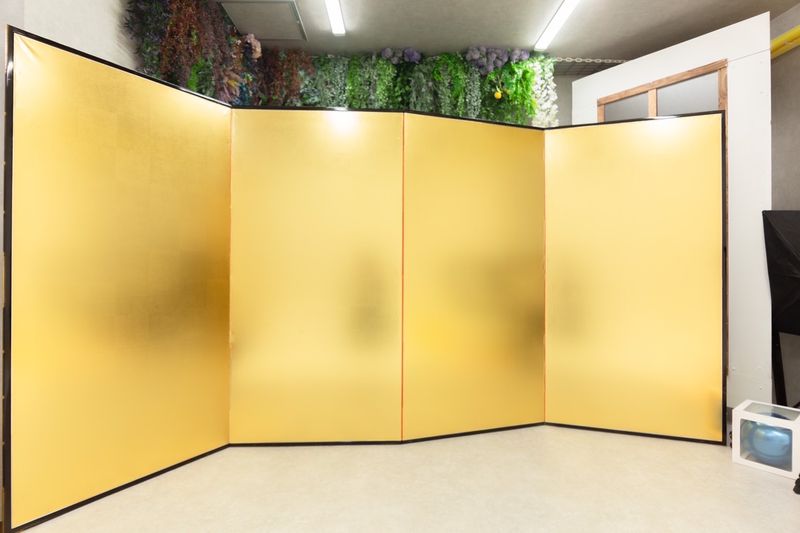 白ホリゾントのあるスタジオ　Studio MIRAIE - Studio MIRAIE