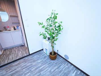 ・観葉植物 - STUDIOFLAG高田馬場2号店の室内の写真