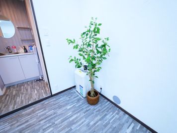 ・観葉植物 - STUDIOFLAG高田馬場2号店 STUDIOFLAG高田馬場2号店/レンタルスタジオの室内の写真