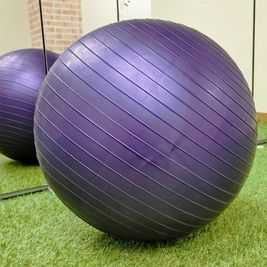 バランスボール

 - パーソナルレンタルスタジオ モエギ市ヶ谷/Moegi市ヶ谷 大学オフィス街近スタジオ♪ヨガピラティスダンス練習レッスンに最適の設備の写真