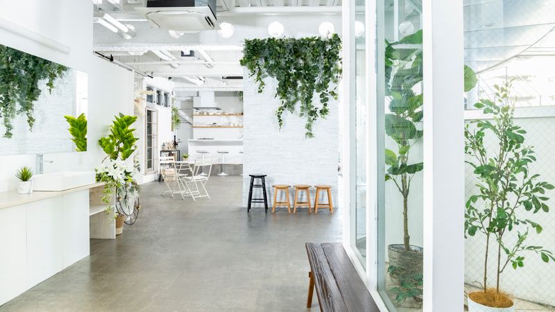 studio Aria  -スタジオアリア- - studio Aria