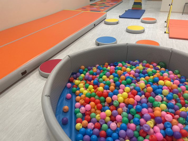 遊具利用可能レンタルスペース - おさるの森キッズラボ