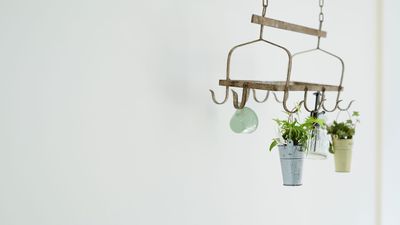 小物類も常設しています　※スタジオ内の小物等の著作権・意匠権は本スタジオにはございません - Aスタジオ 大町 Aスタジオ 大町｜東北最大級！駅近！家具付レンタルハウススペースの室内の写真