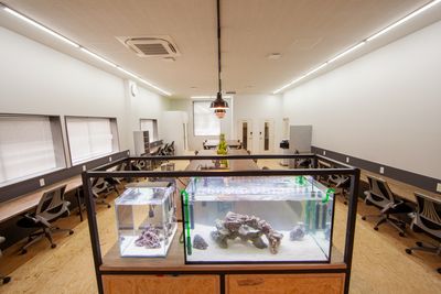 オフィススタイルのイスとハイチェアのテーブル（水槽裏側） - MYST（マイスタ） コワーキングスペースMYSTの室内の写真