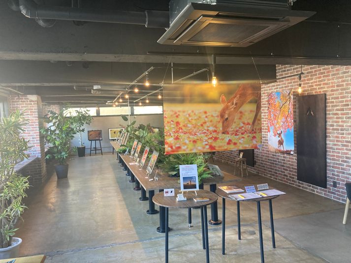 【～36人】広いイベントスペースで個展やワークショップに最適！ - YAMATO BASE　奈良