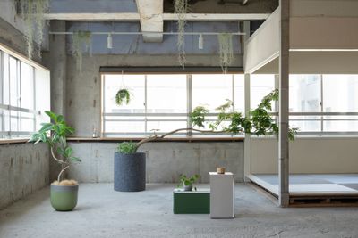 様々な観葉植物も空間を彩ります。撮影小物としても使えます。
 - #Ote co-space501 【大手町/神田】の室内の写真