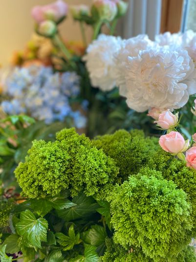 テラススペース -  Roomer