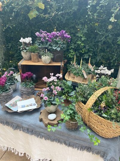 テラススペース -  Roomer