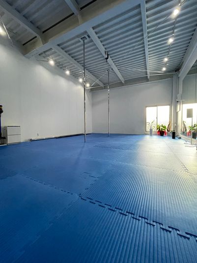 天井高4m　床マット6×8m広範囲 - レンタルスペース『アート』 分厚い床マット付ポールスタジオ内レンタルスペースの室内の写真