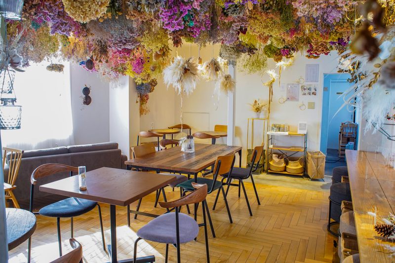 インスタ映え間違いなしのドライフラワーカフェのレンタルスペース - サンカクストア