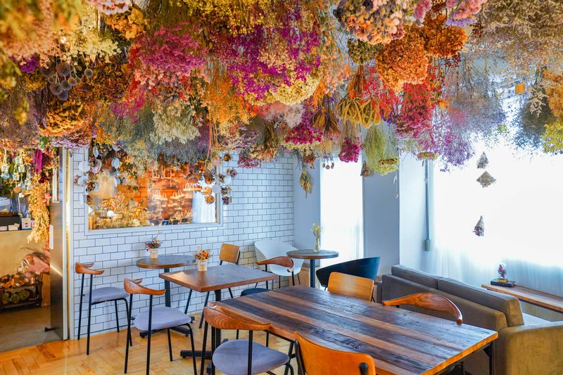 インスタ映え間違いなしのドライフラワーカフェのレンタルスペース - サンカクストア