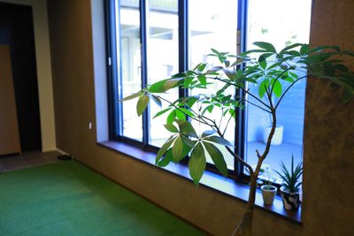 利用スペースからカフェテラスを開放的な窓で開けられます - D-LITE fitness レンタルスジムの設備の写真