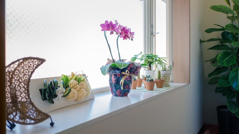 レンタルサロン、レンタルスペース - レンタルスペース「つむぎ」