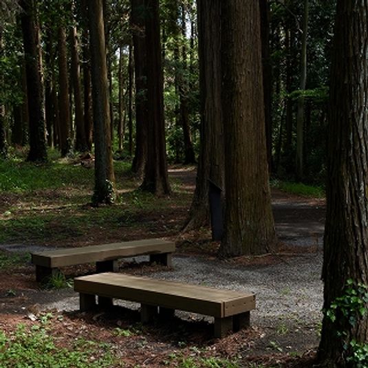 森の中の撮影スタジオ「Studio Go Wild」 - Studio Go Wild