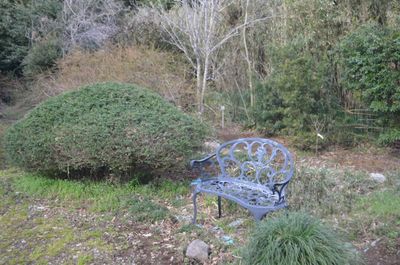 ガーデンチェア
 - 里山小屋 （クラインガルテン）の室内の写真