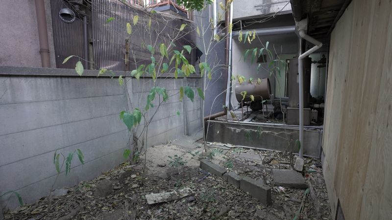 廃墟スタジオ1階スペース - スタジオザットルインズ