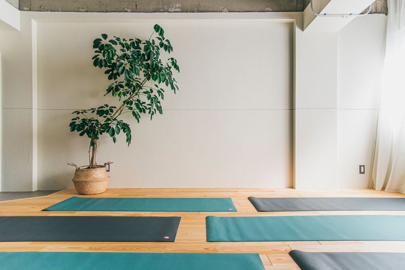 ヨガ/パーソナルレッスン/高さ2.7m/光回線完備 - レンタルスタジオ YOGA SPICE 神保町