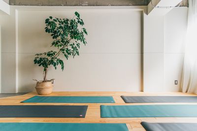 天然木の床にグレイッシュの塗装壁。
集中しやすい環境です。 - レンタルスタジオ YOGA SPICE 神保町 ヨガ/パーソナルレッスン/高さ2.7m/光回線完備の室内の写真