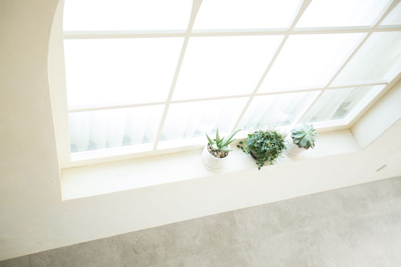 駅ちかスタジオ - 夏黎株式会社