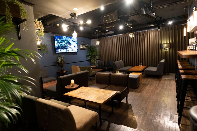 LAYOUT（レイアウト） - LAYOUT