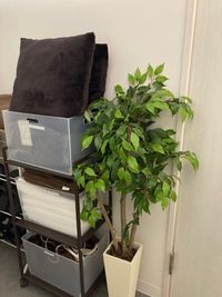 Bルーム向かいの棚にも備品がございます♪
ブランケット
タオル各サイズ
クッション
電気式温熱シート - Glam　up札幌 総合セルフエステサロン　グラムアップ札幌の室内の写真