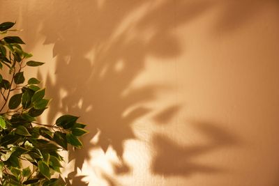 NEXTARIA Blue大宮の室内の写真