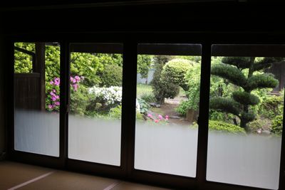 式台をあがり、後ろを振り返ると見れる前庭 - 下邑家住宅の室内の写真