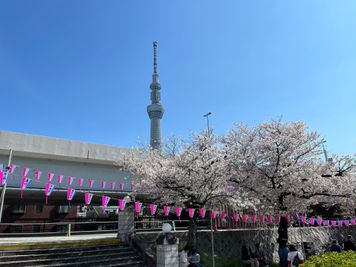 Rosimon Studio ROSIMON レンタルスペースのその他の写真