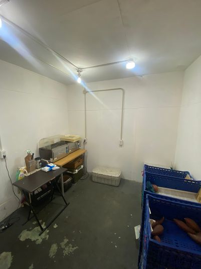 スタジオ TAKAKURA - 大正Butter Cream