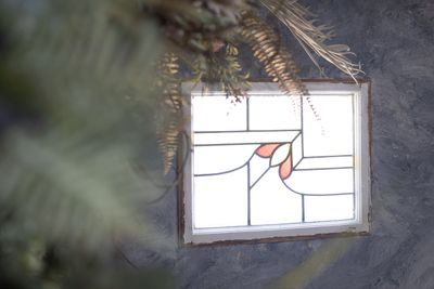 植物と小窓を活かした接写パターンも - studio owl（スタジオオウル）御茶ノ水駅前店 10種類の背景で撮影できる機材全部無料のデザイナーズ撮影スタジオの室内の写真