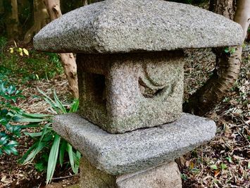 灯籠と竹林と。360度が緑に囲まれております。 - 鎌倉古民家スタジオ 縁樹庵 竹林・庭つき古民家撮影ハウススタジオの外観の写真