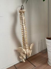 エイトボディ 【幡ヶ谷】完全個室サロンエイトボディ【駅から徒歩２分】の設備の写真