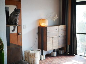 living studio - アトリエ阿佐ヶ谷 アトリエ阿佐ヶ谷"Atelier Asagaya" 撮影スタジオの室内の写真