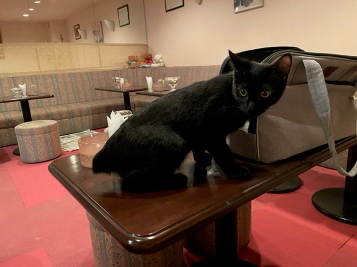 アラユミレンタルスペース - レンタルスペース［アラユミ］