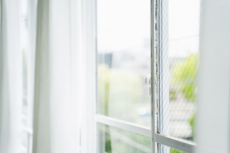 36studio first - 36studio