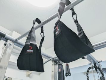 アブストラップ(DMoose Fitness) - HARAPEKO GYM 五反田店の設備の写真
